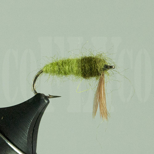 Caddis Larvae Olive Skykomish Colorado Fly Company