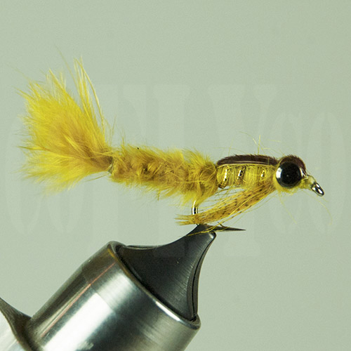 Damsel Braided Golden