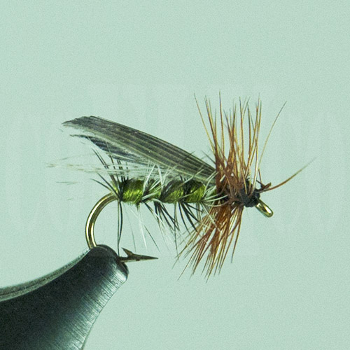 Caddis Henryville | Colorado Fly Company