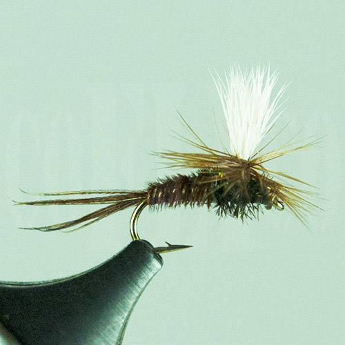 Pheasant Tail Parachute